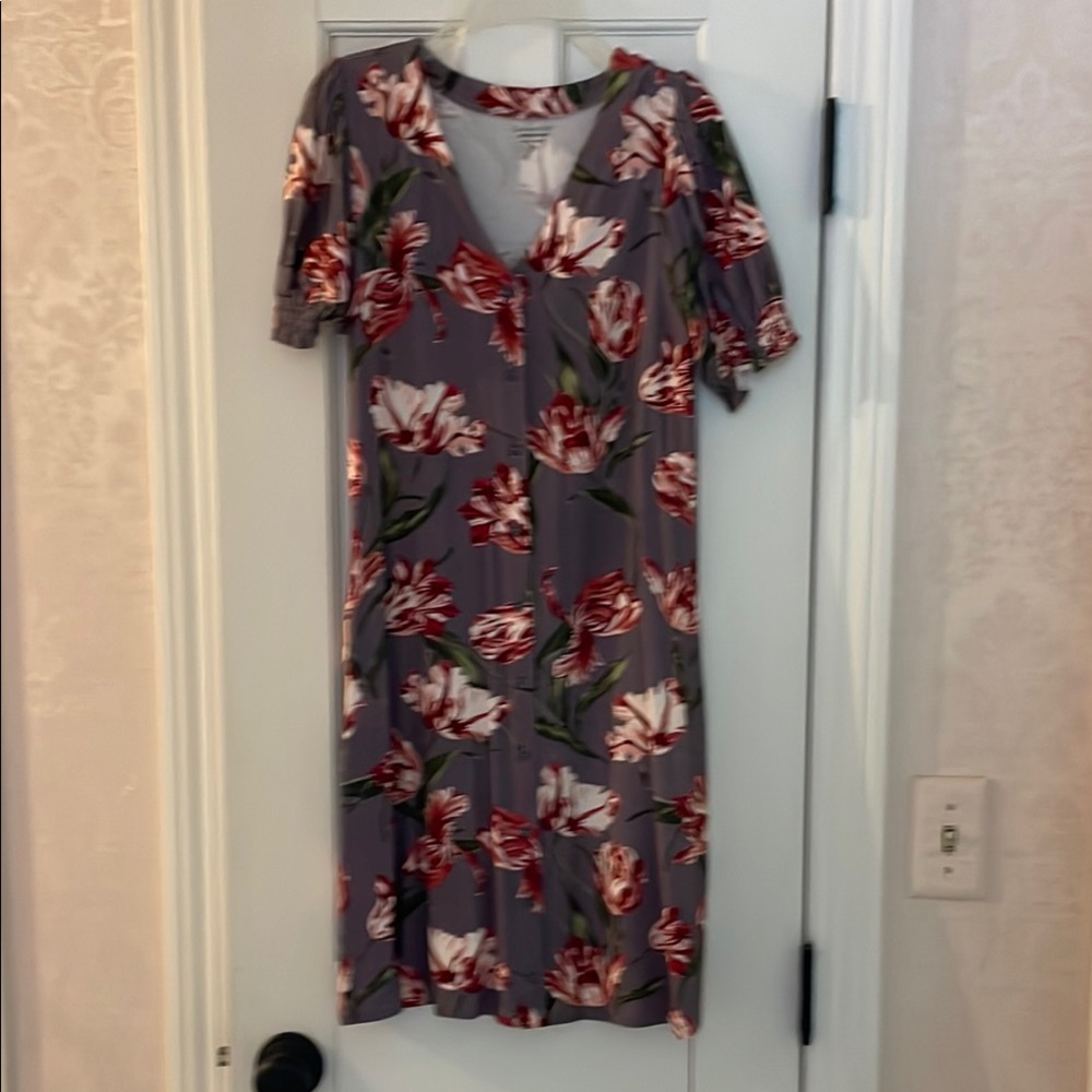 Garnet Hill Gray and Red Sheath Dress with Flutter Sleeves